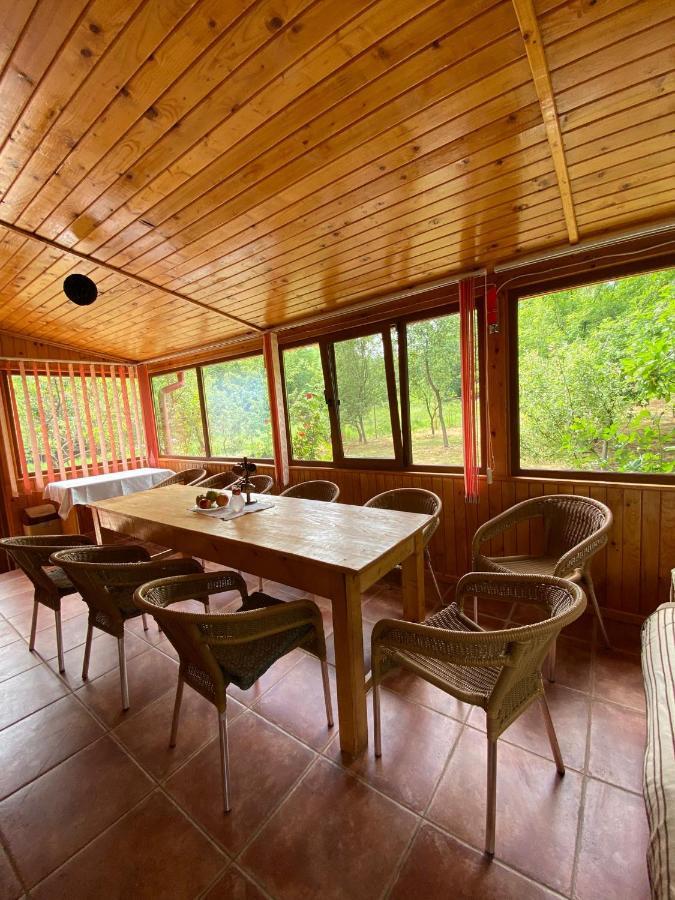 Ab'S Rustic Cabin Dejani Exterior photo